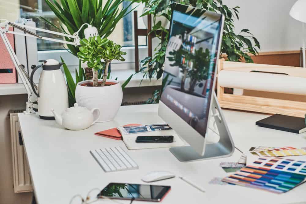 Website Management